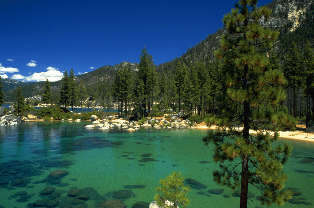 SEARCH FOR LAKE TAHOE REAL ESTATE WITH ALVIN STEINBERG CALL 800-666-4718