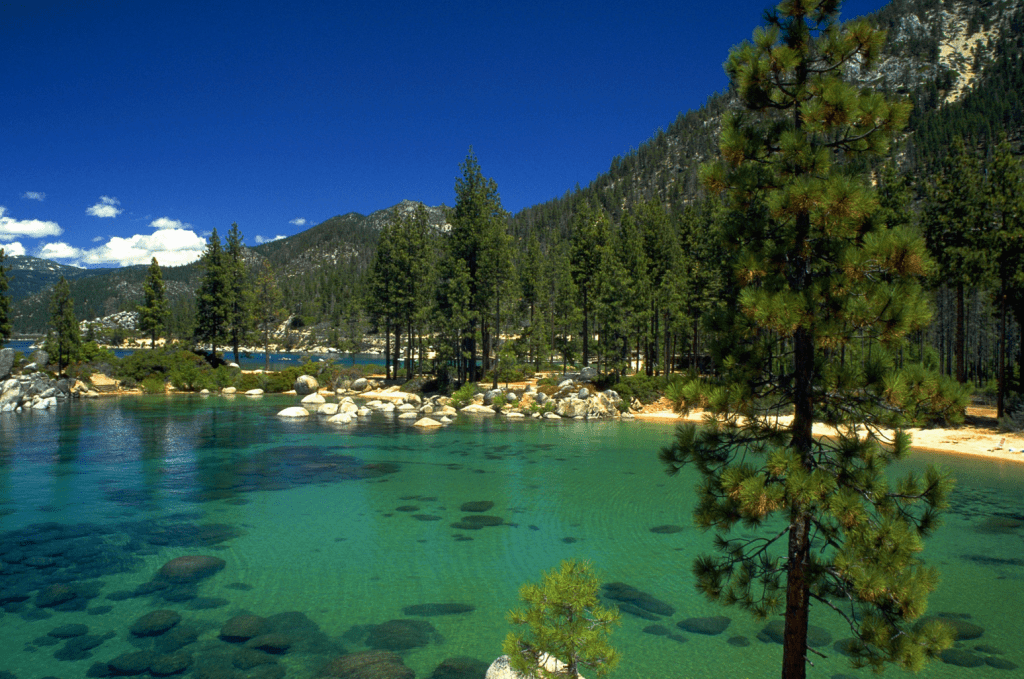 SEARCH LAKE TAHOE NEVADA REAL ESTATE TODAY