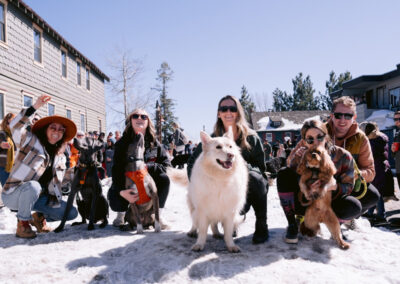 Dogs in snow in Lake Tahoe